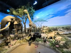 -陕西自然博物馆