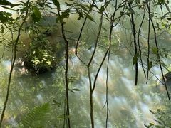 -百漈沟生态旅游景区