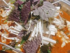 -宵夜侠·自选衡阳烧烤大排档(新塘白江店)