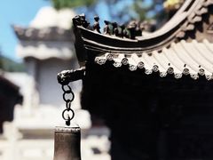 -八大处公园