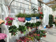 -大唐不夜城贞观广场