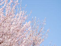 -马家湾湿地公园