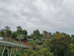 -狐尾山公园