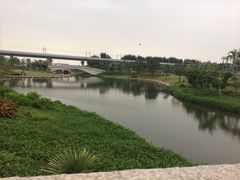 -宝安西湾红树林湿地公园