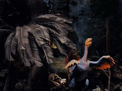 -辽宁古生物博物馆