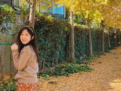 -金陵图书馆