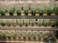 -菲律宾面包(宝发大厦店)