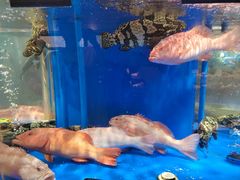 -鲜得莱渔港·小平岛海胆馆(七贤岭店)