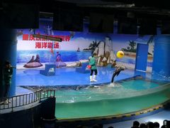 -重庆欢乐海底世界