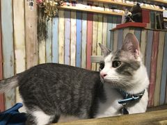 -小时光咖啡馆(开森度假森林店)