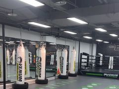 -拳力汇散打搏击泰拳俱乐部(绿地缤纷城店)