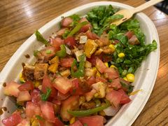 -油梨树 AVOCADO TREE(亮马桥店)
