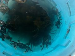 -东戴河风景区-止锚湾