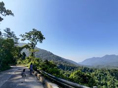 -海南霸王岭国家森林公园