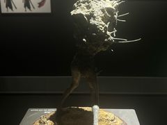 -中国美术学院-美术馆