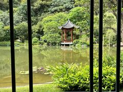 -云溪植物园