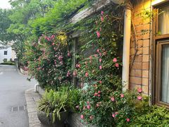 -春暖花开(西溪店)