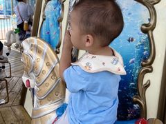 -海合安成都极地海洋公园