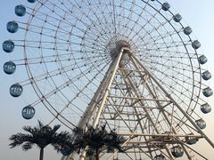 -秦皇岛乐岛海洋王国