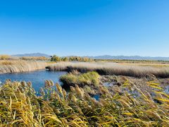 -野鸭湖国家湿地公园