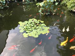 -东莞市可园博物馆