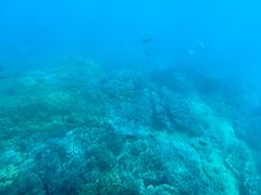-亚龙湾海底世界