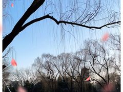 -玲珑塔公园