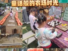 -HERRE·FARM 赫尔露营农场·团建聚会包场