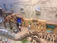 -陕西自然博物馆