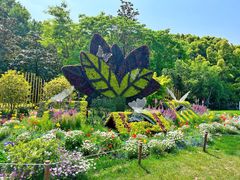 -上海共青森林公园