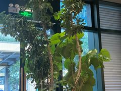 -gaga(金地威新中心店)