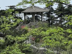 -天柱山风景区