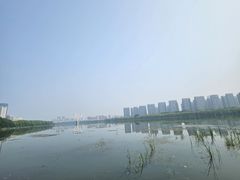 -长白岛森林公园