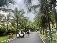 -三亚西岛海洋文化旅游区