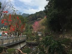 -灵光寺
