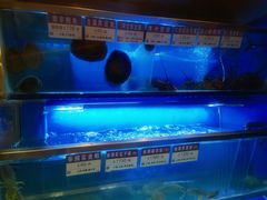 -協成海鮮火鍋(老店)