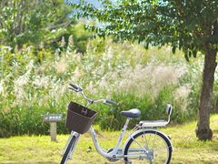 -大理洱海