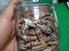-玫瑰海岸文化旅游度假区