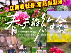 -尚湖风景区