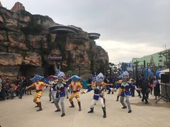 -上海海昌海洋公园