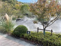 -黄贤森林公园