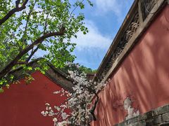-潭柘寺景区