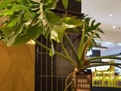 -Pennehut畔尼意面(合肥万象城店)
