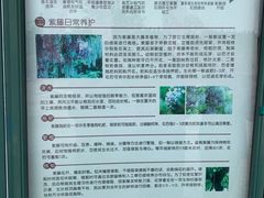 -嘉定紫藤园