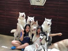 -TrueLove @ Neverland (Husky Cafe)