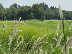 -汉长安城未央宫国家考古遗址公园