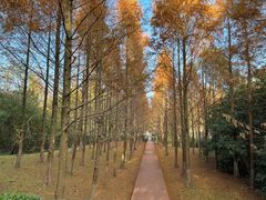 -东钱湖旅游度假区