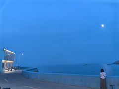 -魚當家