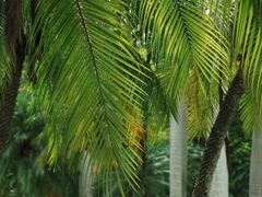 -人民公园(罗湖区)