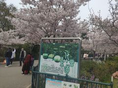 -青岛中山公园-索道售票处
